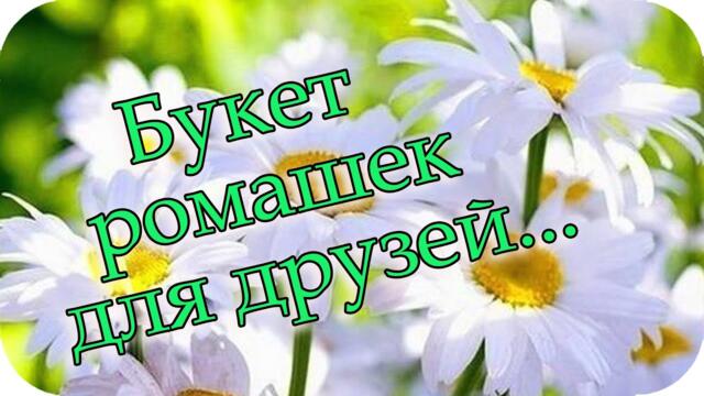 Доброе утро! ❤️Букет ромашек для друзей... ❤️Пусть душа наполняется счастьем!❤️