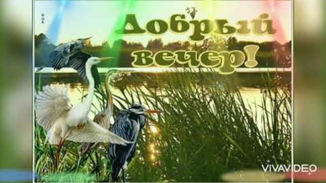 ДОБРОГО ВЕЧЕРА ЖЕЛАЮ ВСЕМ 💋