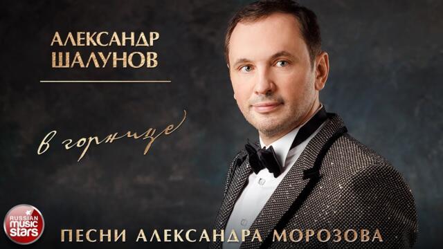 АЛЕКСАНДР ШАЛУНОВ ✮ В ГОРНИЦЕ ✮