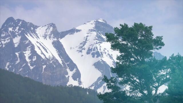 ЭМИЛЬ ГЫСТАРОВ - "СЛЁЗЫ ЛЮБВИ"
