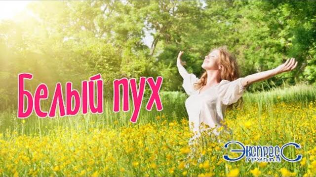 Группа Экспресс  -  Белый пух. Танцевальная песня о любви.