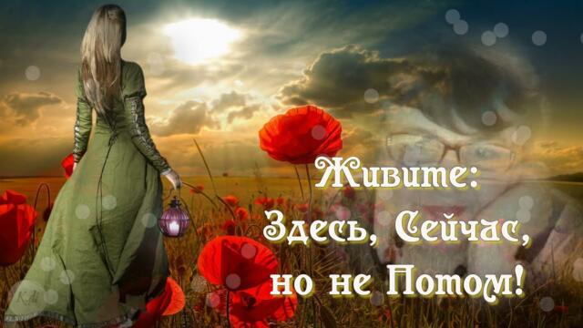 Андрея Обидина - Дорога к тебе/  Живите -  Здесь , Сейчас , но не Потом...