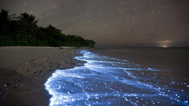 Невероятна красота - Море от звезди остров Вааду, Малдивите Sea of Stars