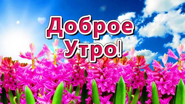 ДОБРОЕ УТРО!💖 ПРЕКРАСНОЙ СУББОТЫ!💖  ОТЛИЧНОГО ОТДЫХА!💖 ХОРОШЕГО НАСТРОЕНИЯ!💖