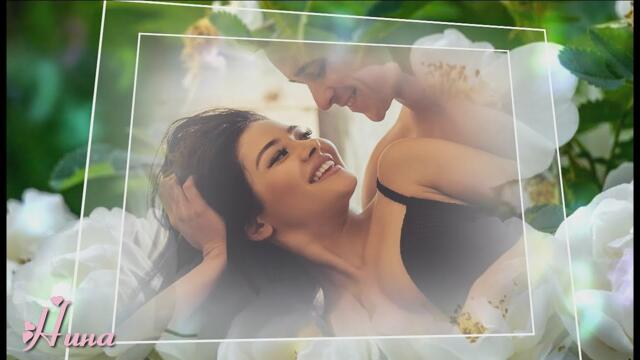 АНДРЕЙ ШПЕХТ  -   ШИПОВНИК.