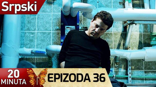 20 Minuta - Epizoda 36 (Srpski) | 20 Dakika