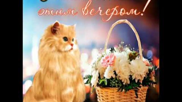 |ДОБРЫЙ ВЕЧЕР🌹|Наслаждайся этим июльским вечером🥰💃🎸