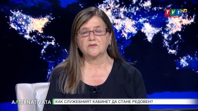 Веселин Стойнев - Как служебният кабинет да стане редовен? - "Алтернативата" с Лили Маринкова
