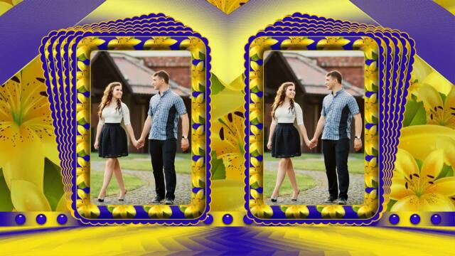 Мои  любимые цветы