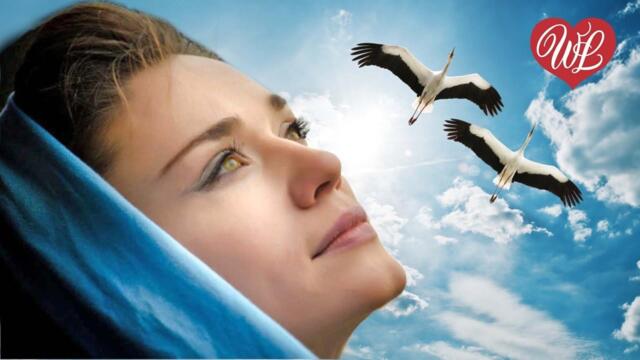 БРОДЯГА ♥ КРАСИВЫЕ ПЕСНИ ДЛЯ ДУШИ ♥