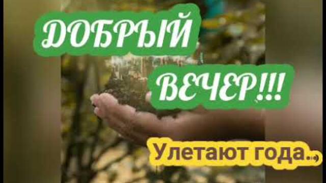 |🎀ДОБРЫЙ ВЕЧЕР🥰| Улетают года|🌹🌹🌹