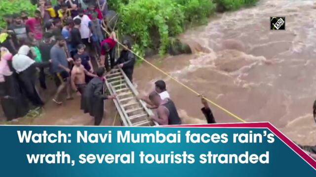 Watch: Navi Mumbai faces rain’s wrath, several tourists stranded