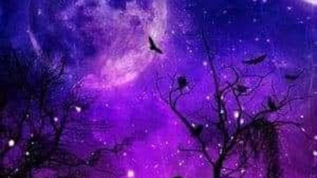 Thomas Bergersen - Colors of love