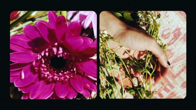 Imanbek, Sean Paul, Sofia Reyes - Dancing on Dangerous