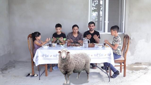 Qurban Kəsdik - Qurban Bayramını qeyd etdik - Tikə və Tərəvəz Kababı bişirdik