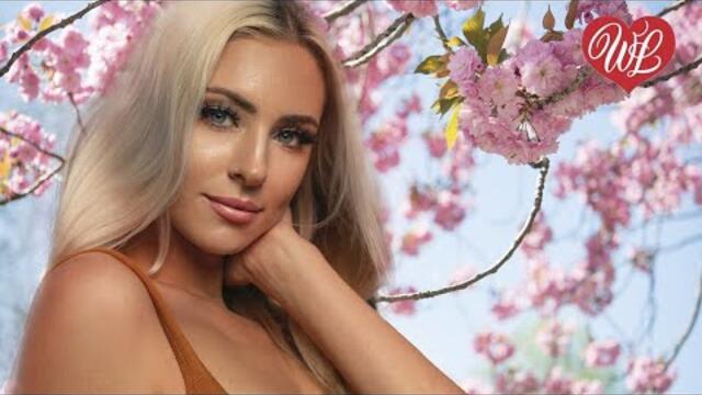 РАДОСТЬ СО СЛЕЗАМИ ♥ ХИТЫ ШАНСОНА ДЛЯ ТАНЦПОЛА ♥