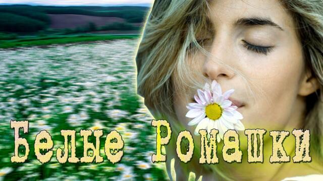 Азамат Исенгазин   -    Белые ромашки!