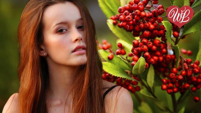 РЯБИНА ЧЕРНАЯ ♥ КРАСИВЫЕ ПЕСНИ О ЛЮБВИ ♥