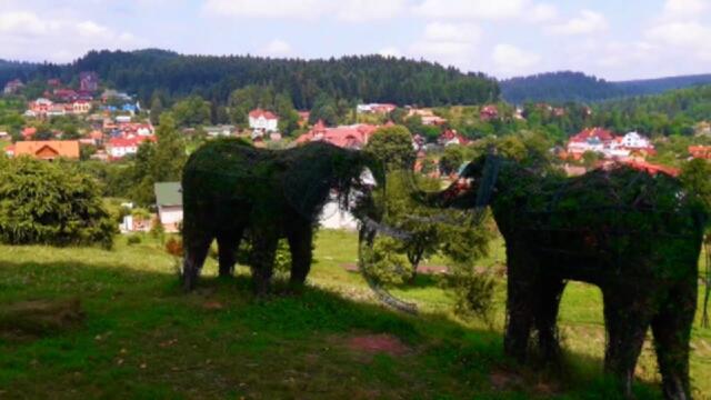 Чудова природа Карпатських гір, природних цілющих джерел Східниця, липень 2021
