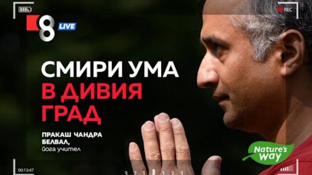 Смири ума в дивия град