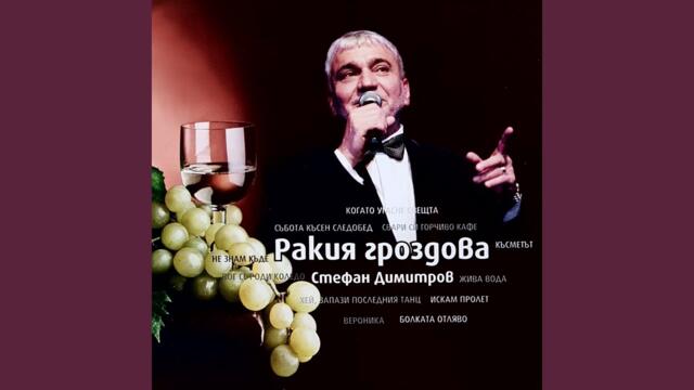 Васил  Найденов  -  Болката отляво