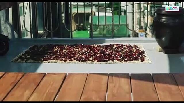 Made On The Rooftop ENG CC (1_2) TURN ON SUB