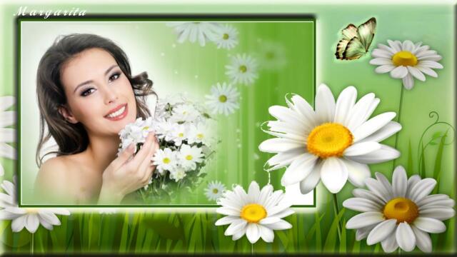 Виктор Перевал(ов)  -   Ромашки-Наташки