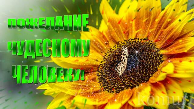 ПОЖЕЛАНИЕ ЧУДЕСНОМУ ЧЕЛОВЕКУ!