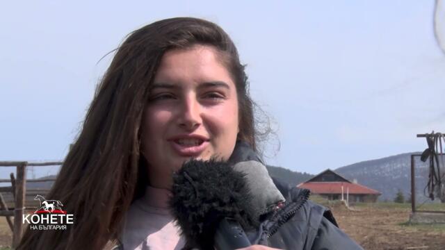 Конете на България: Младостта и конете!