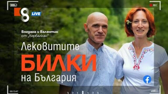 Лековитите билки на България