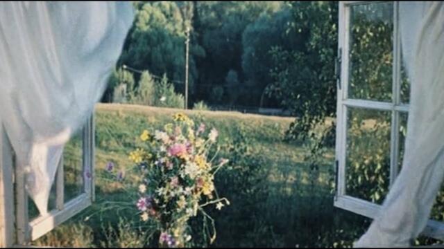 Сергей Григорьевич Беликов  -  «Снится мне деревня»