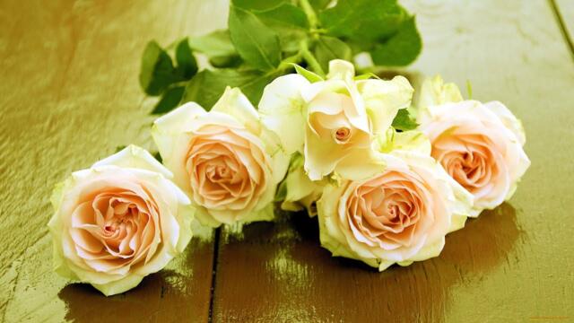 Эти чайные розы