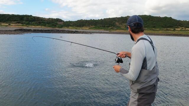 Lure Fishing for Bass | Top Water Hits | UK Bass Fishing