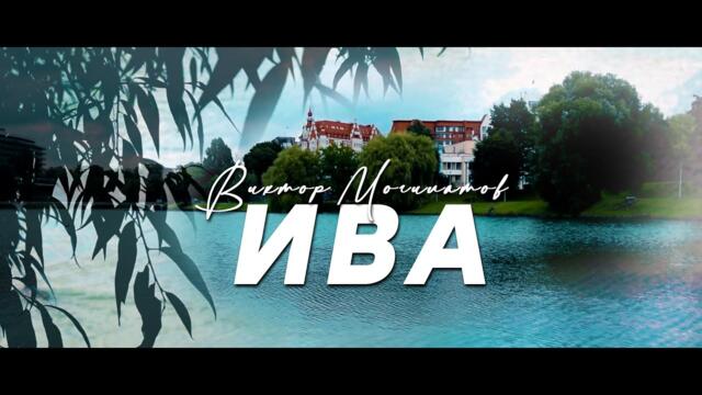 Виктор Могилатов - Ива