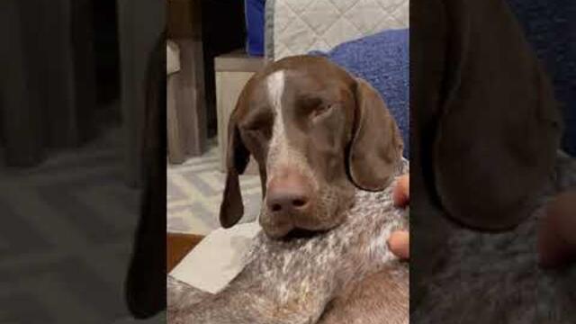 Sleeping with One Eye Open 👀 #shorts