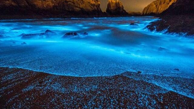 Сини морета  ¨¨˜"°º ¸.•´ „Сини сълзи“ Sparkling bioluminescent seas are called ‘blue tears’ ♛ 🎵 ╰⊱♡⊱╮¨¨˜"°º ¸.•´ ¸.•*´¨