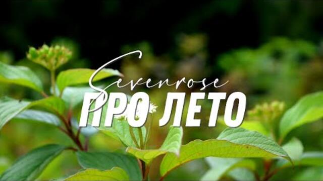 Татьяна Кузьмина  -  Про лето