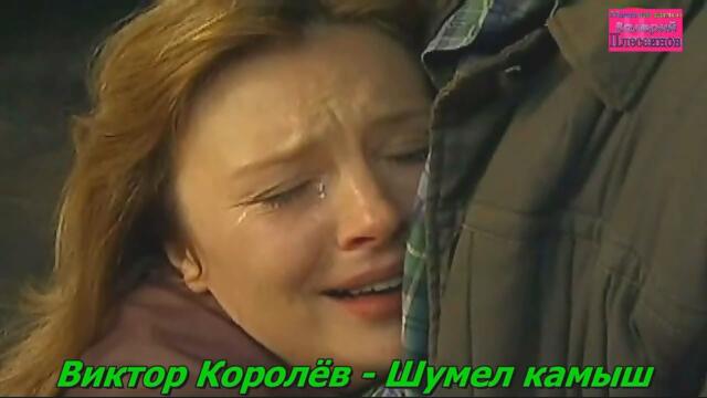 Виктор Королёв - Шумел камыш