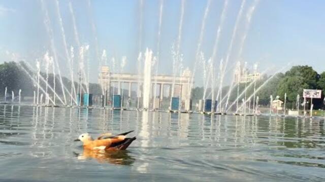 Послушайте Великолепную МУЗЫКУ С. Грищука, Любуясь Игрой Фонтанов в Парке Горького Москвы!