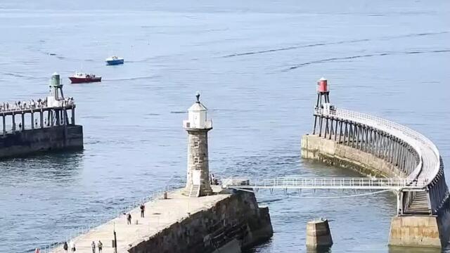 Dolphins frolic off Whitby harbour