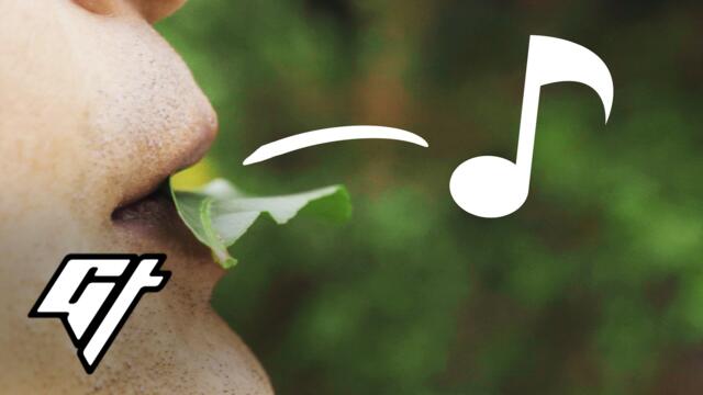 Musician Makes Music with Just a Tiny Leaf