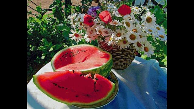 Александр Сумин  -  ВОТ И ЛЕТО НА ИСХОДЕ (звуки саксофона)