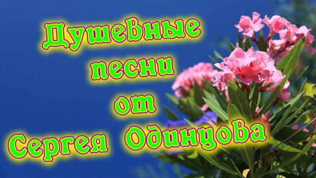 Всем Хорошего настроения на целый день.