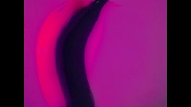 vlog 59 (the fat loner)