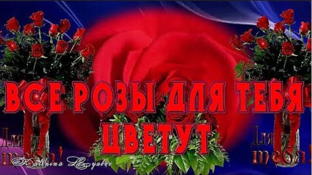 Все розы для тебя цветут!