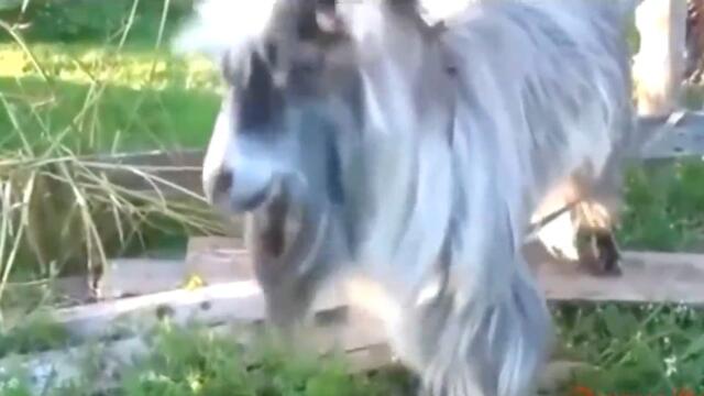 Я прошу тебя, успокойся...