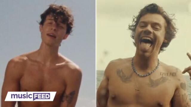 Fans Compare Shawn Mendes' 'Summer Of Love' To Harry Styles 'Golden' Video!