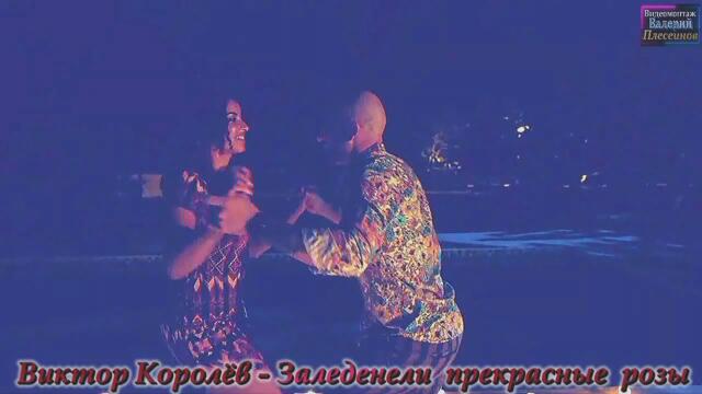 Виктор Королёв - Заледенели прекрасные розы