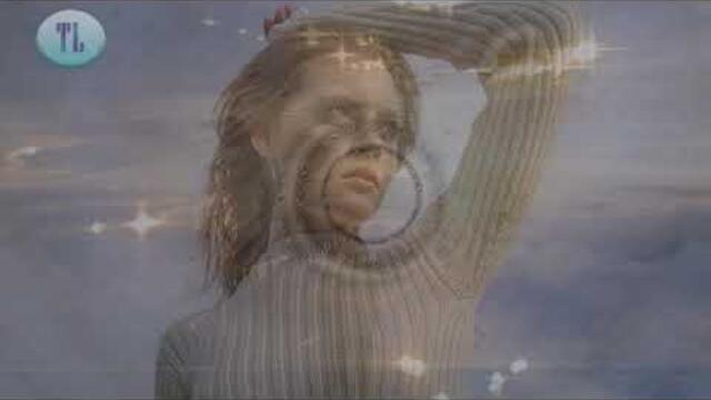 Немного птицы