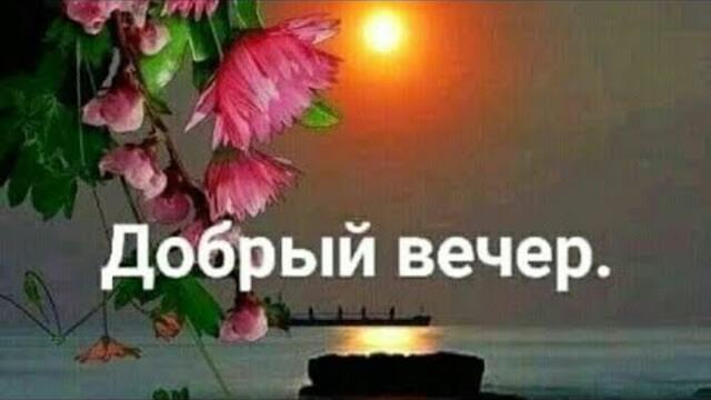 ДОБРЫЙ ВЕЧЕР/  Всем прекрасного настроения 🌼|